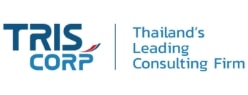 Professional Thailand Web Design Solutions for Modern Businesses | Make2Web