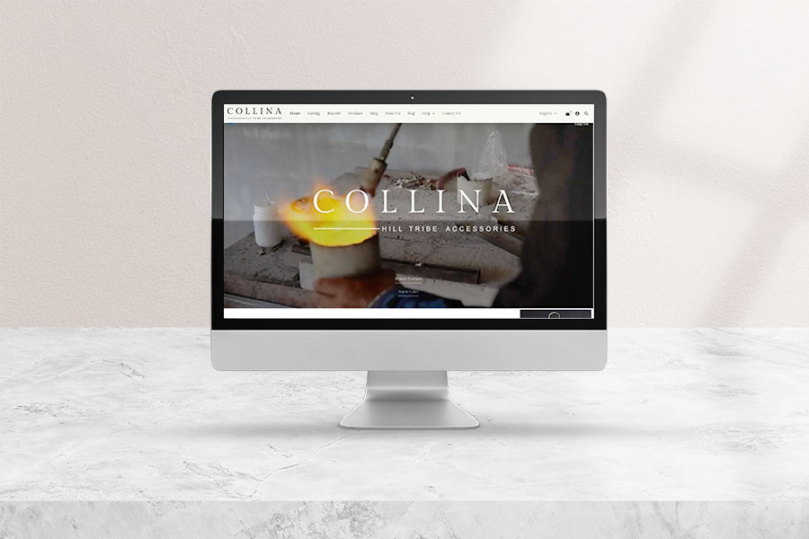 ตัวอย่างเว็บไซต์ขายของ : Collina Silver